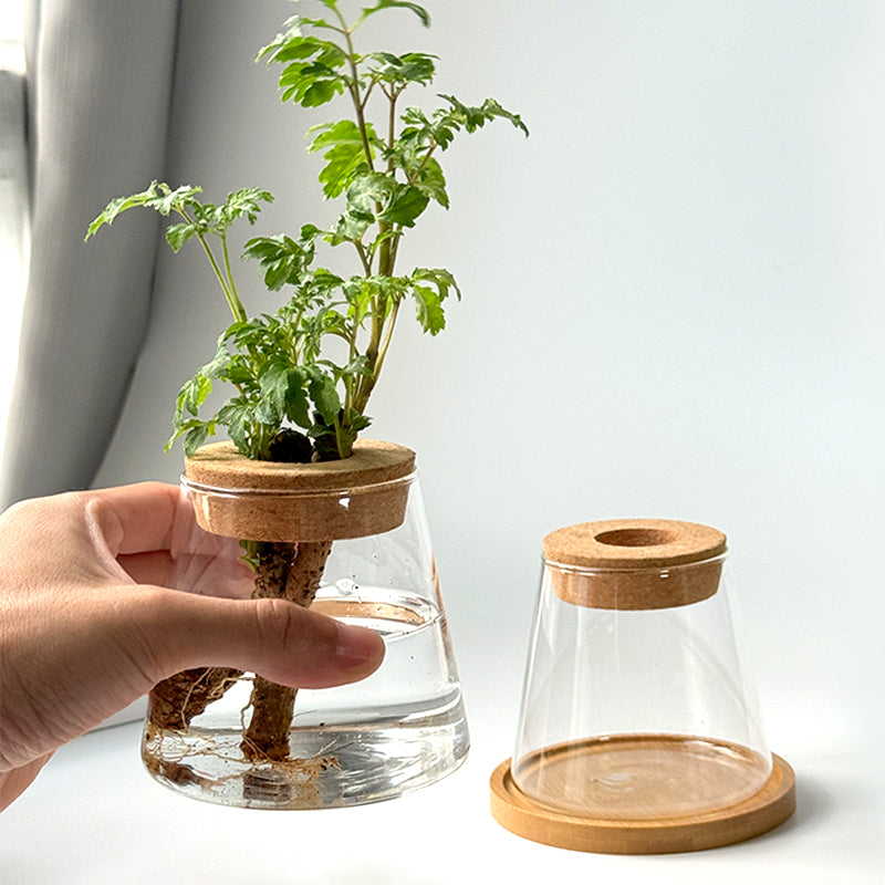 Vaso Nordic Hidropônico