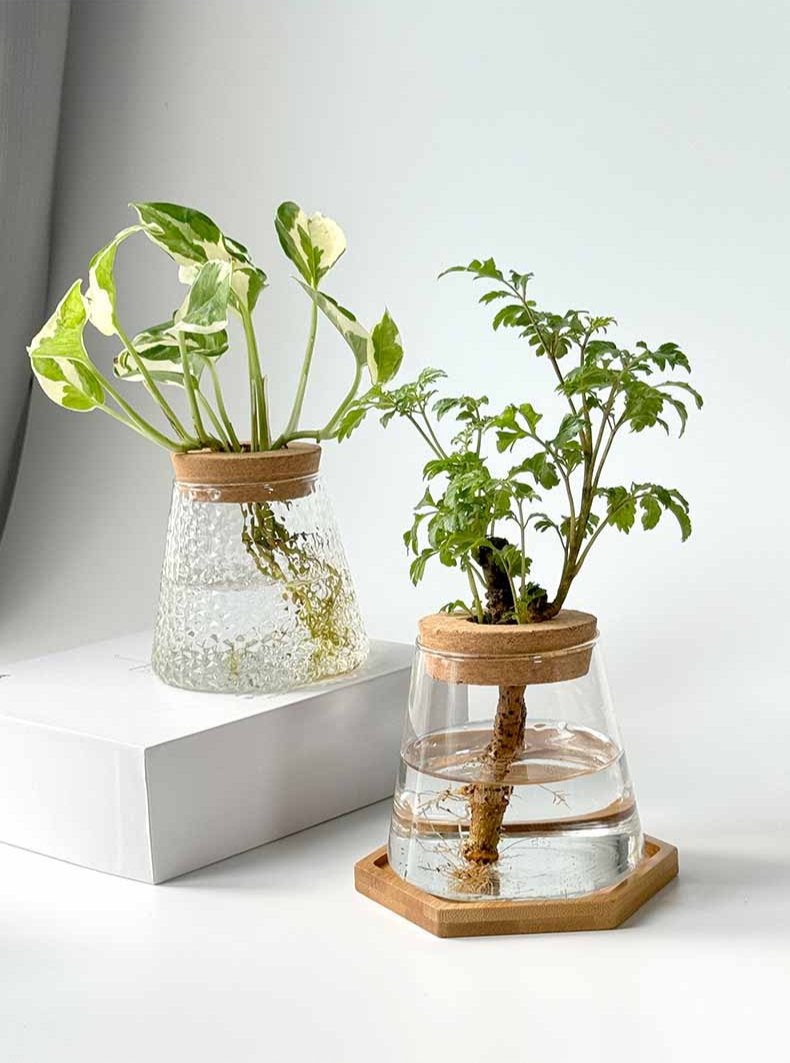 Vaso Nordic Hidropônico